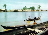 marshes-mashoof